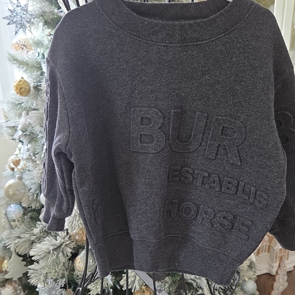 Boys BurrberryFleece Sweatshirt. Gray with Burberry logo.